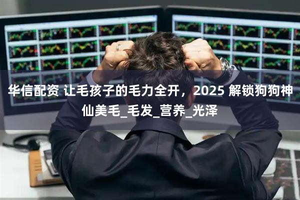华信配资 让毛孩子的毛力全开,2025 解锁狗狗神仙美毛_毛发_营养_光泽