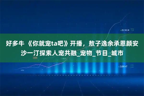 好多牛 《你就宠ta吧》开播，敖子逸余承恩颜安沙一汀探索人宠共融_宠物_节目_城市