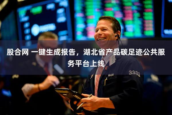 股合网 一键生成报告，湖北省产品碳足迹公共服务平台上线