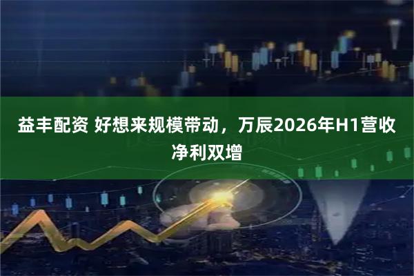 益丰配资 好想来规模带动，万辰2026年H1营收净利双增